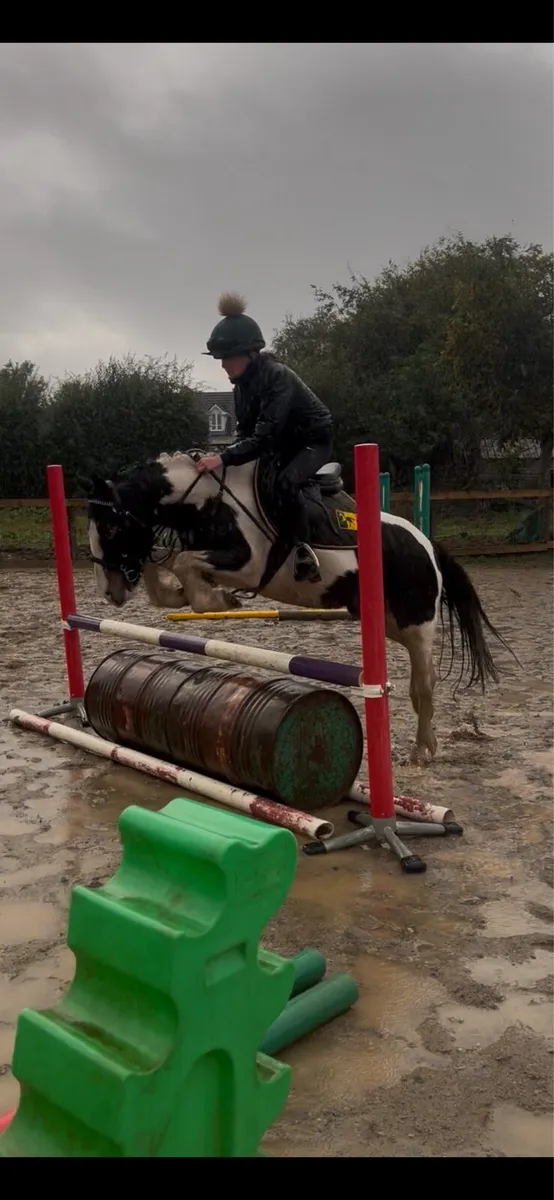 Pony - Image 3