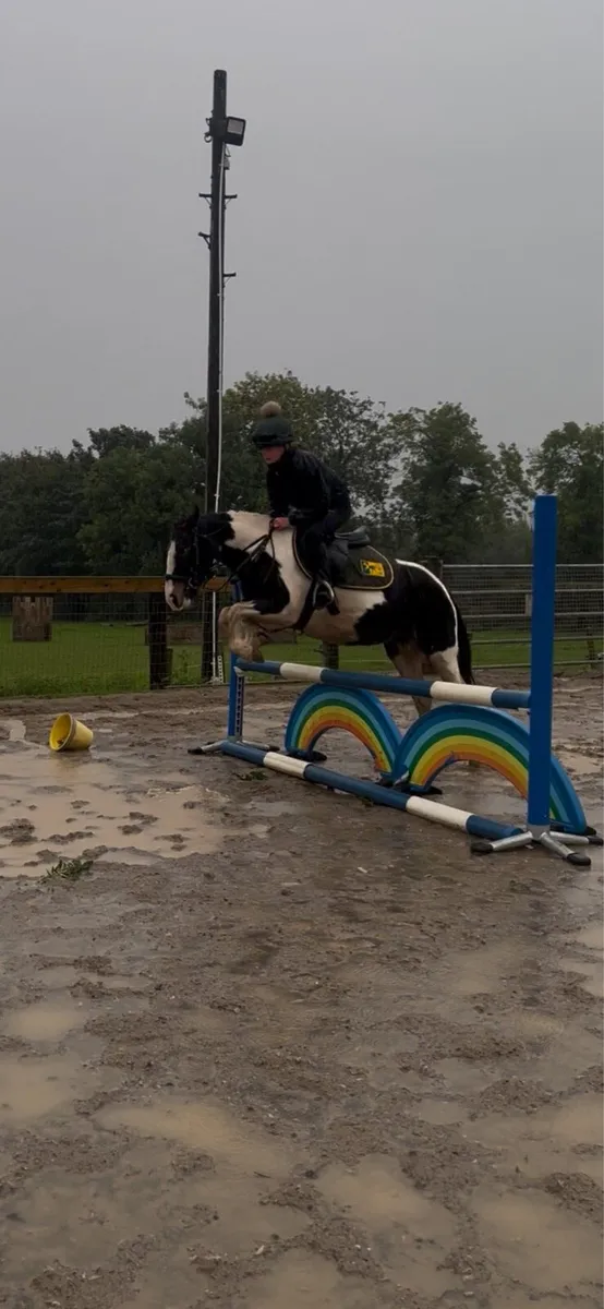 Pony - Image 4