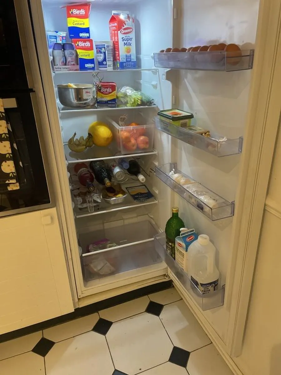 Fridge - Image 1