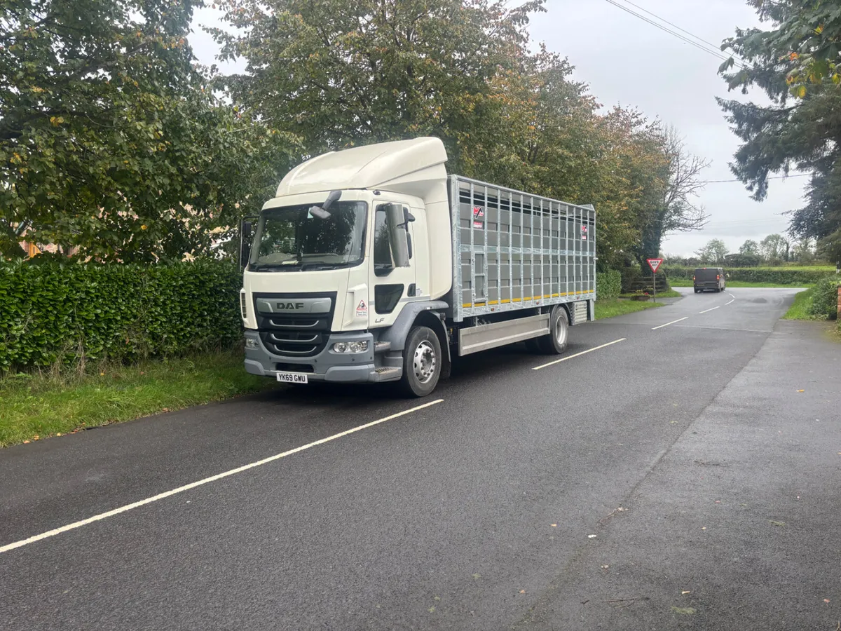 Daf lf cattle lorry - Image 1