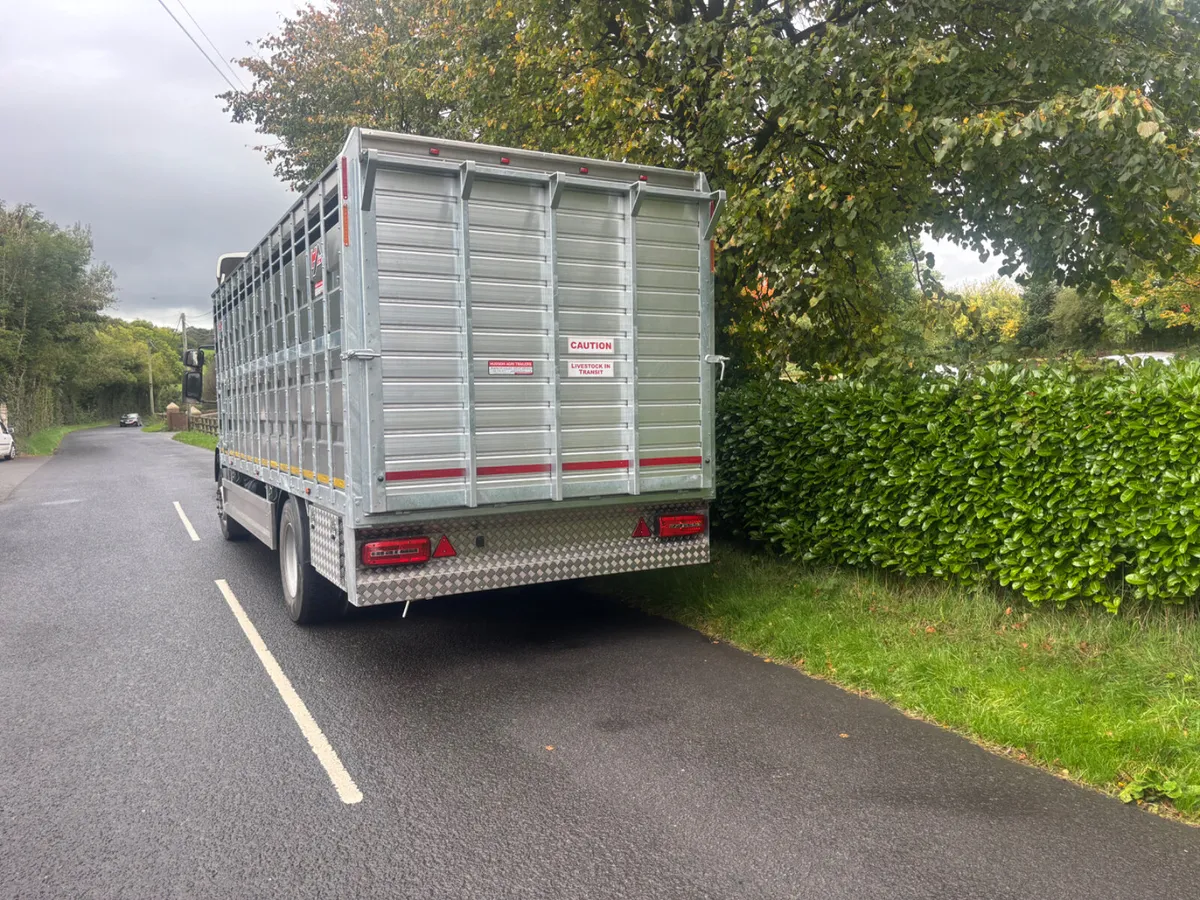 Daf lf cattle lorry - Image 4