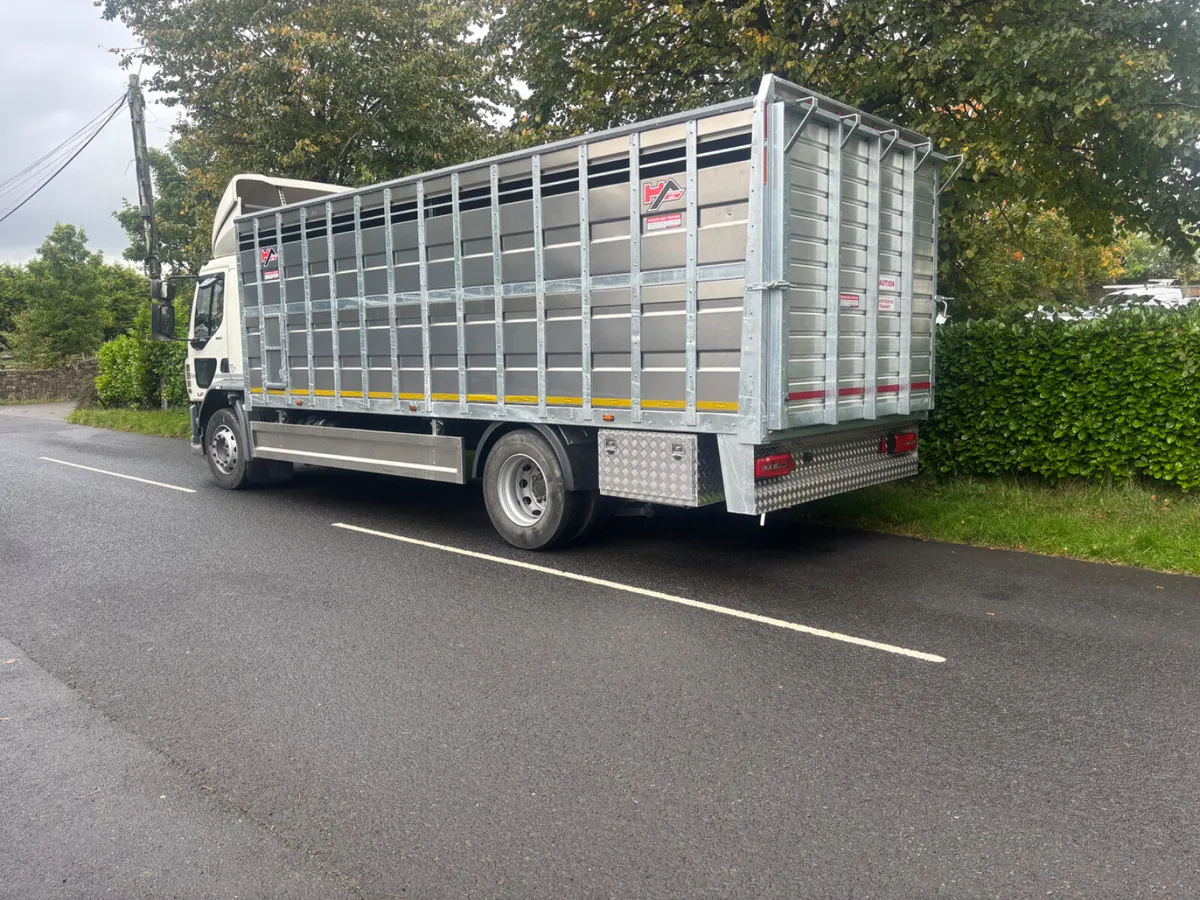 Daf lf cattle lorry - Image 3
