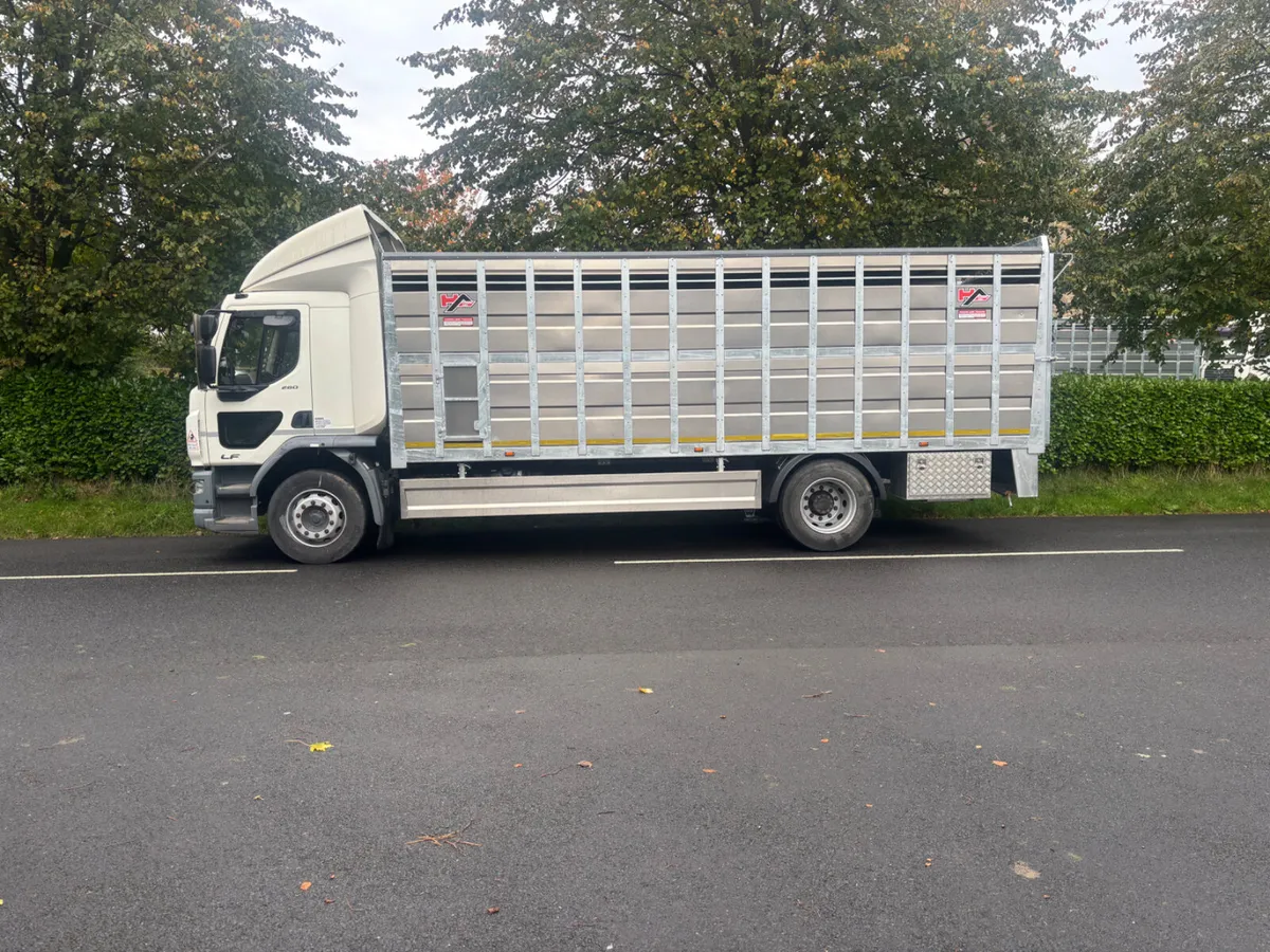 Daf lf cattle lorry - Image 2