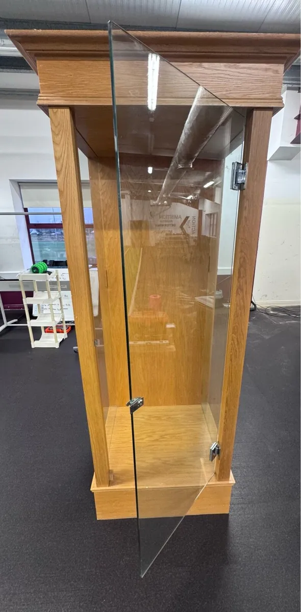 Trophy Cabinet - Image 4