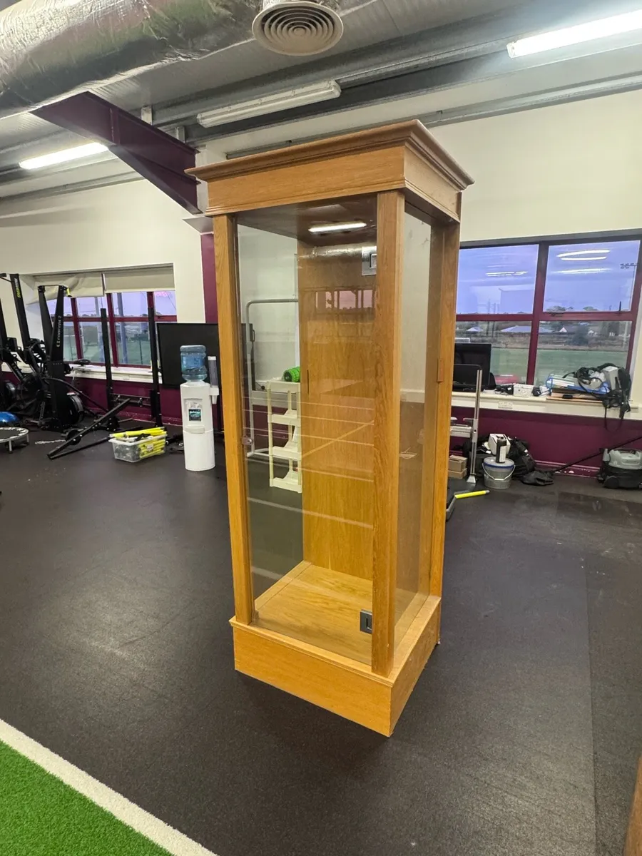 Trophy Cabinet - Image 1