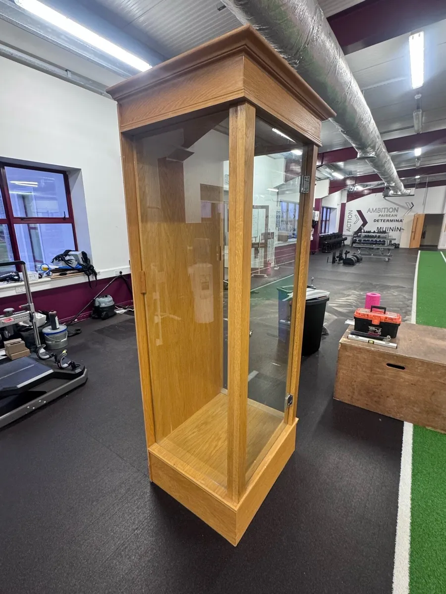 Trophy Cabinet - Image 2