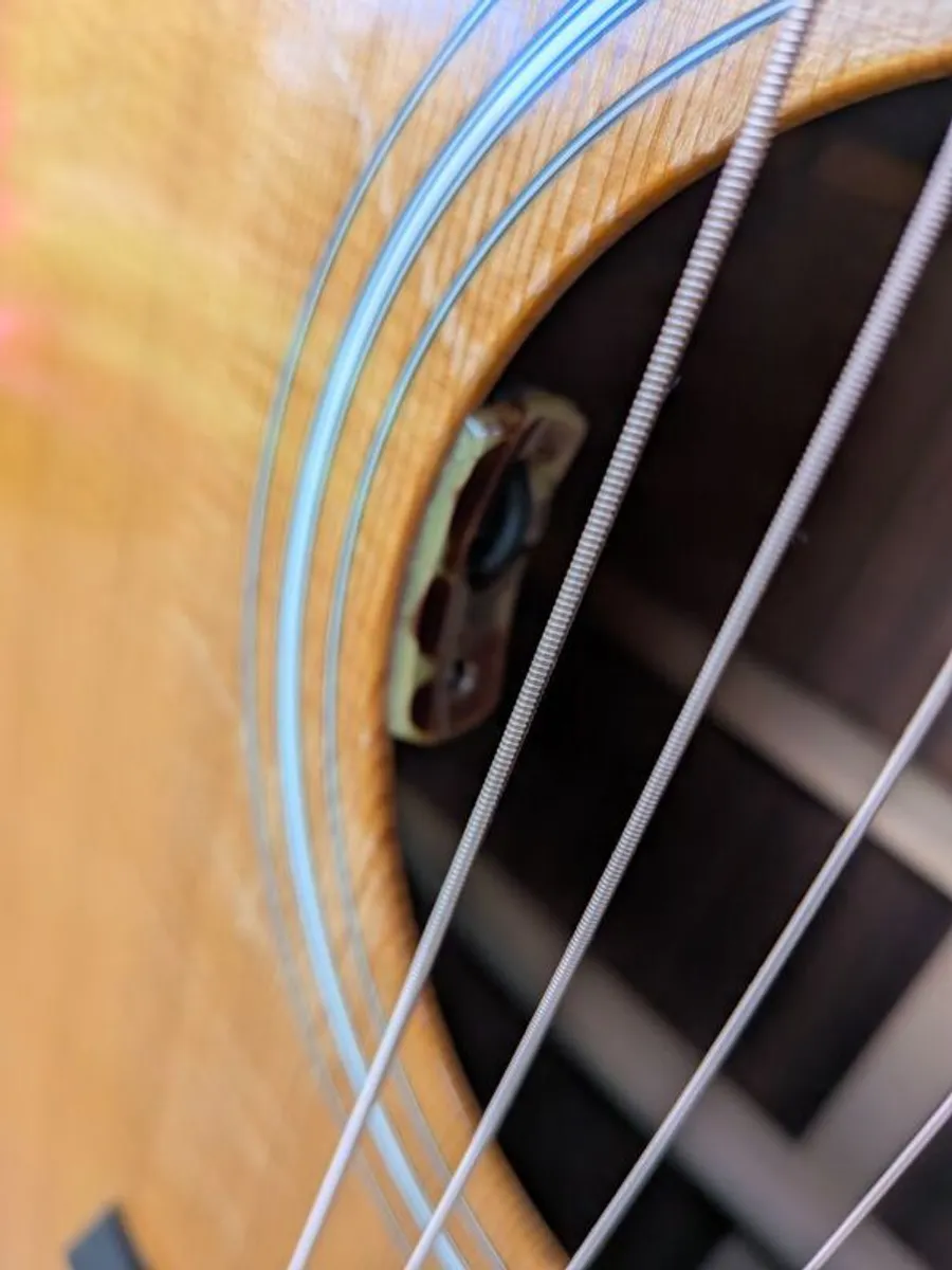 Taylor 710 - Image 3