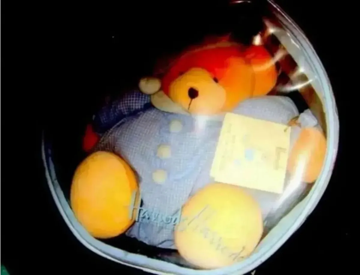 BNIB Vintage Harrods Teddies - Image 2