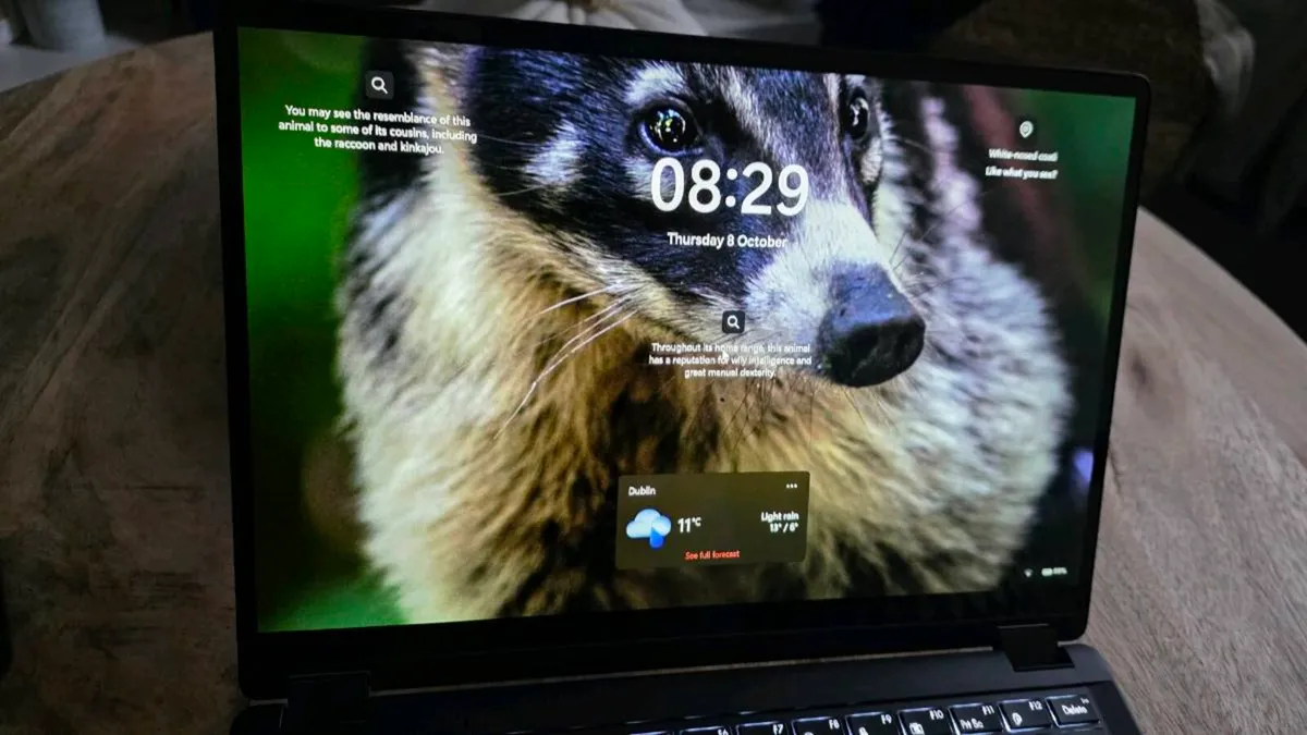 Asus ProArt PX13 - Image 3
