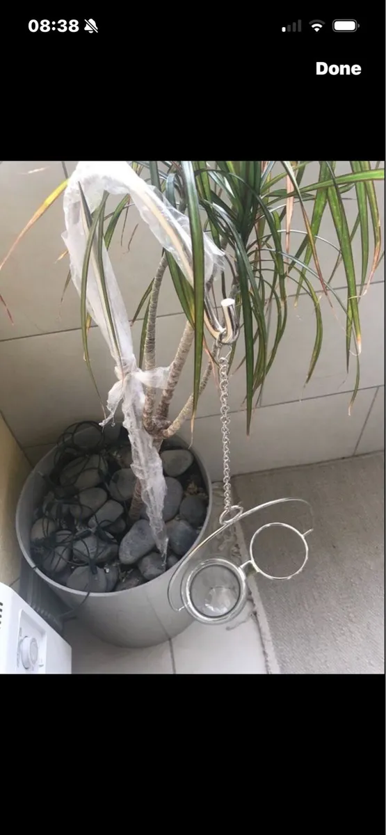 Garden Candle Set - Image 3