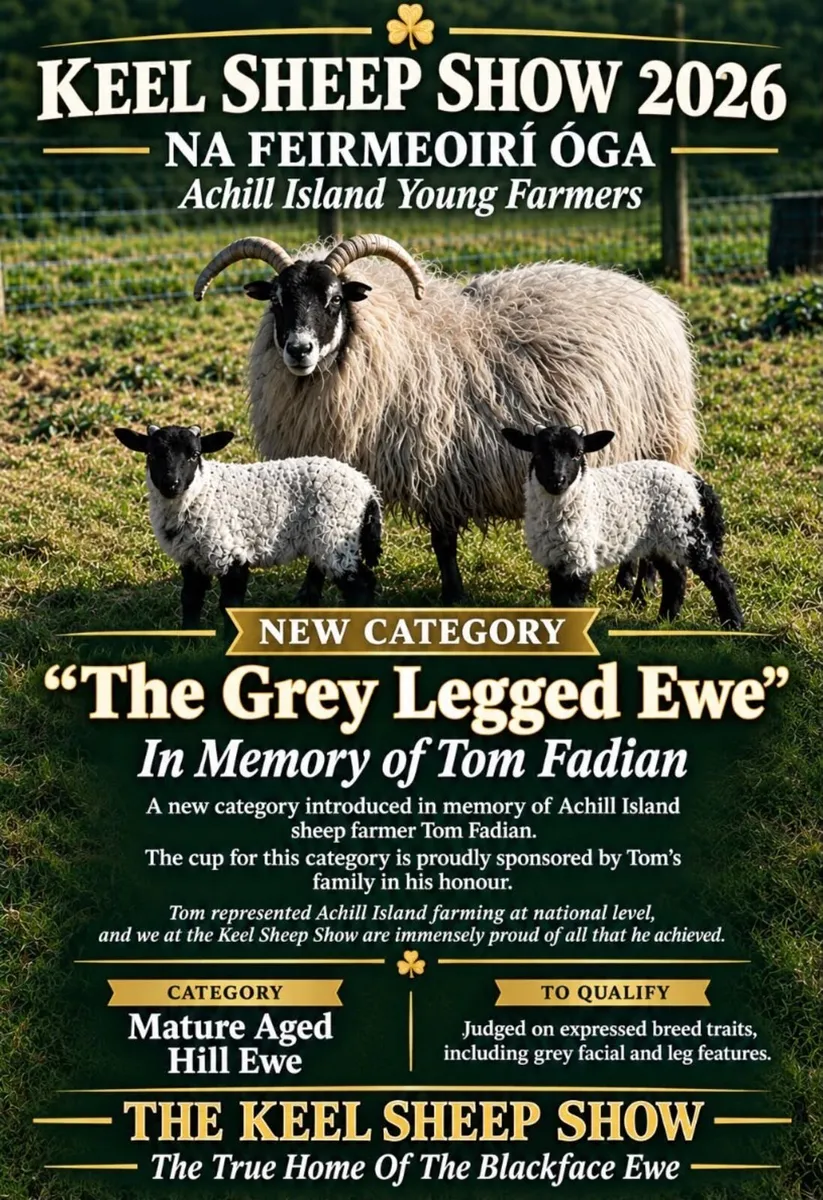 Keel Sheep Show 2026 - Image 3