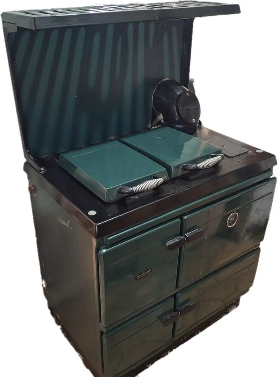 Stanley Brandon Oil Cooker 100K BTUs - Image 1