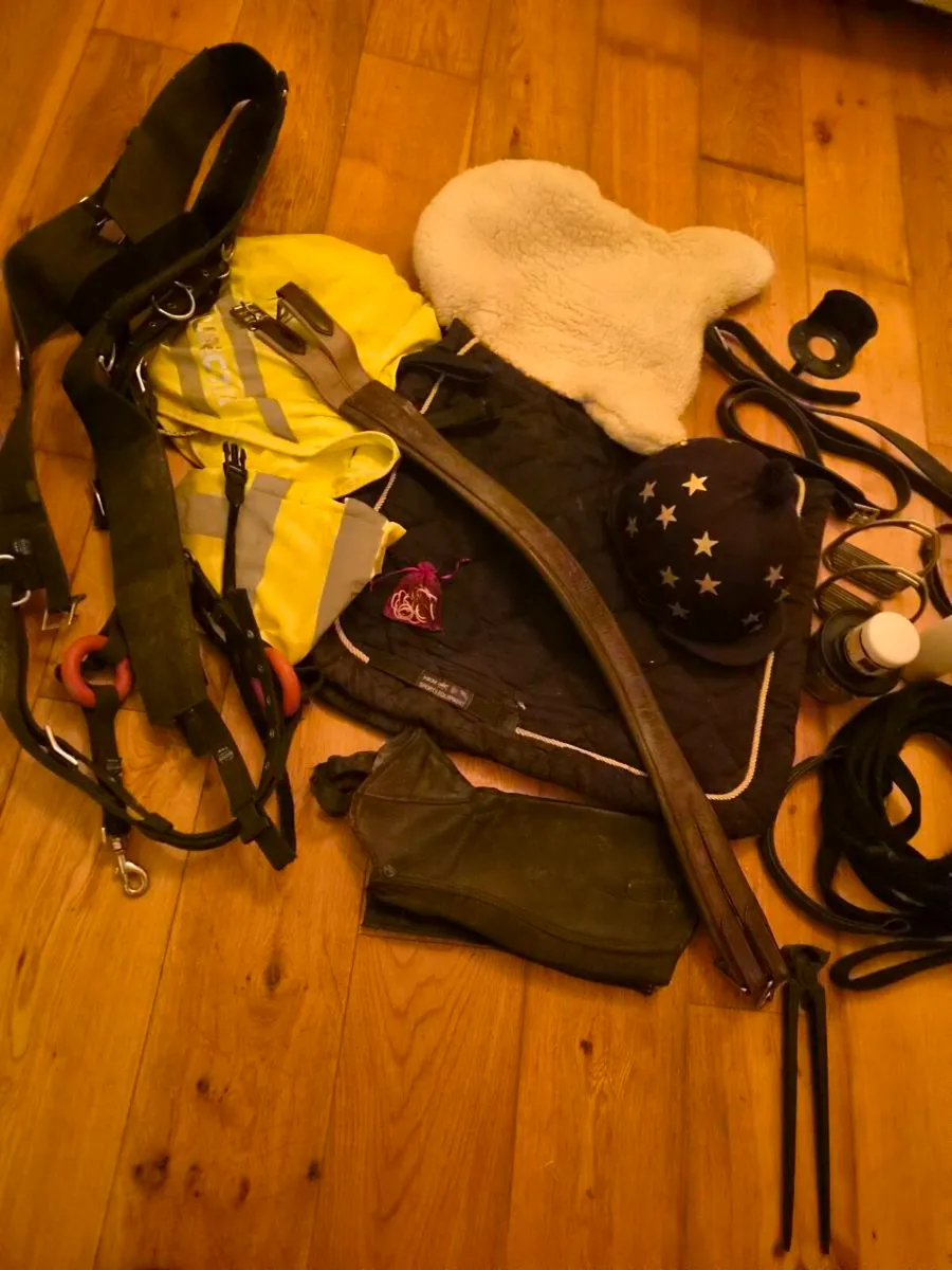 Tack bundle new bridle - Image 2