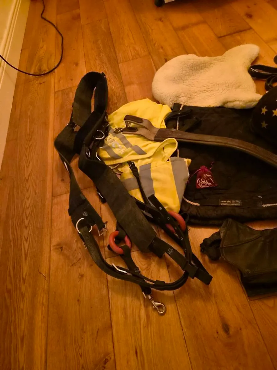 Tack bundle new bridle - Image 3