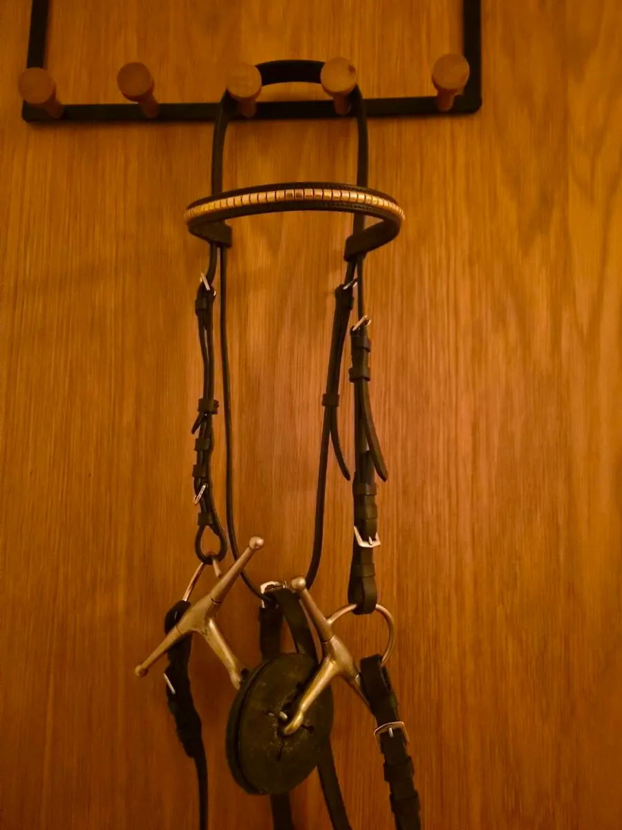Tack bundle new bridle - Image 4