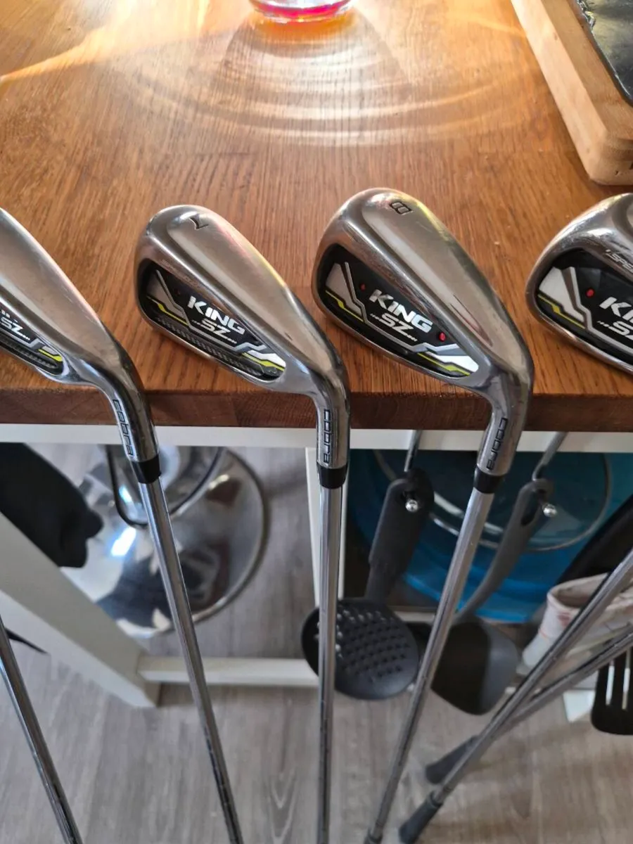 King cobra irons - Image 4