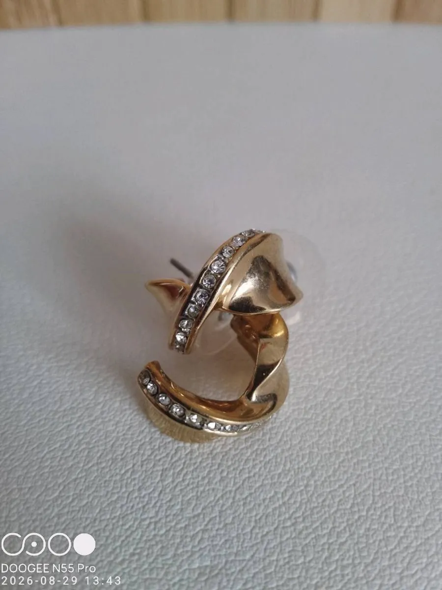 Women's  Earrings - Image 1