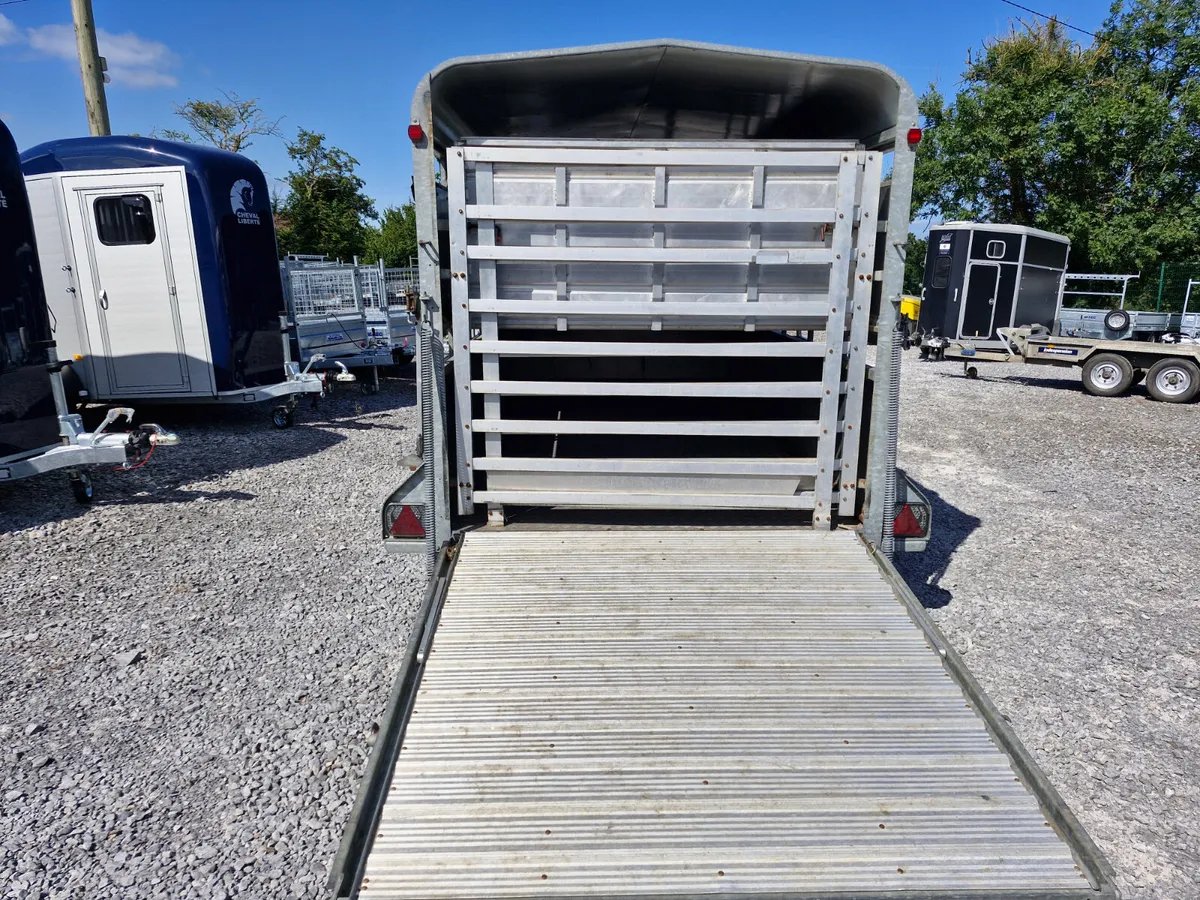 INDESPENSION  12' x 6'  TRAILER SHEEP DECKS - Image 3