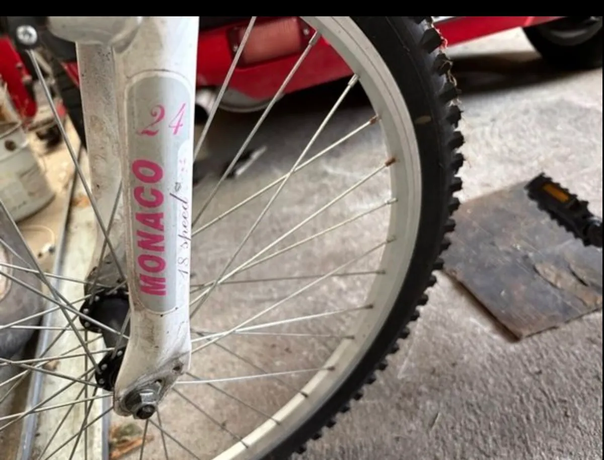 Girls bike - Image 4