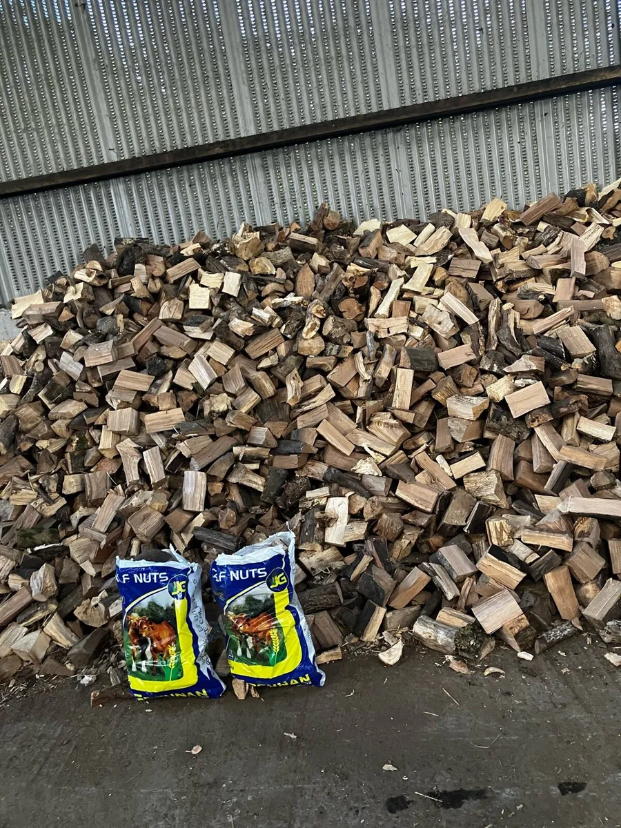 Firewood - Image 1
