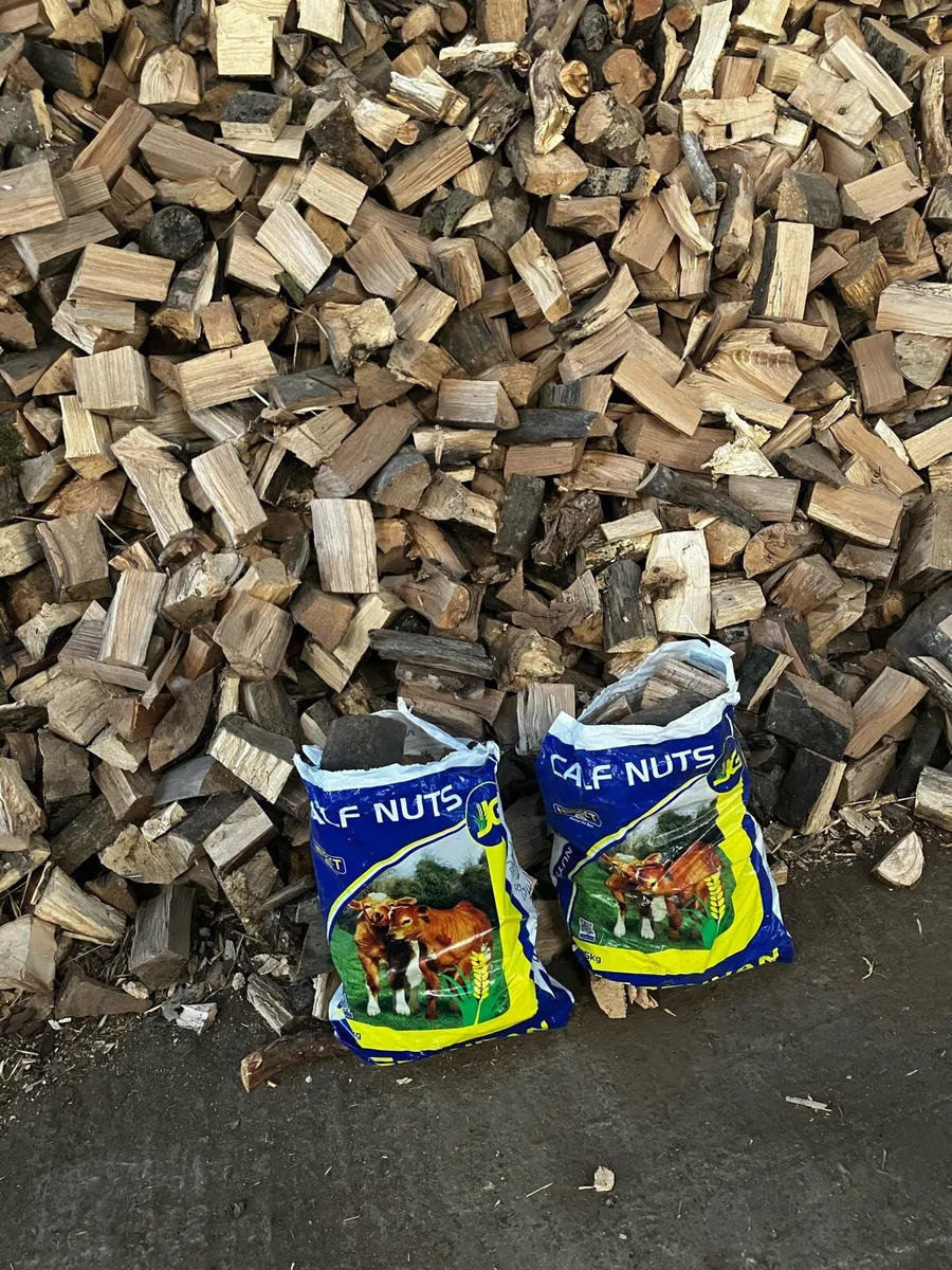 Firewood - Image 2