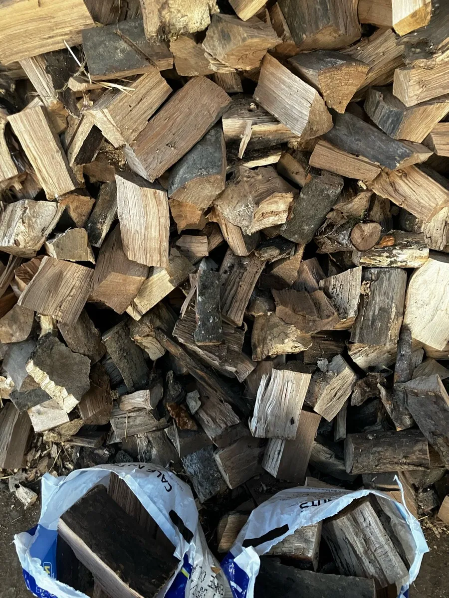 Firewood - Image 3