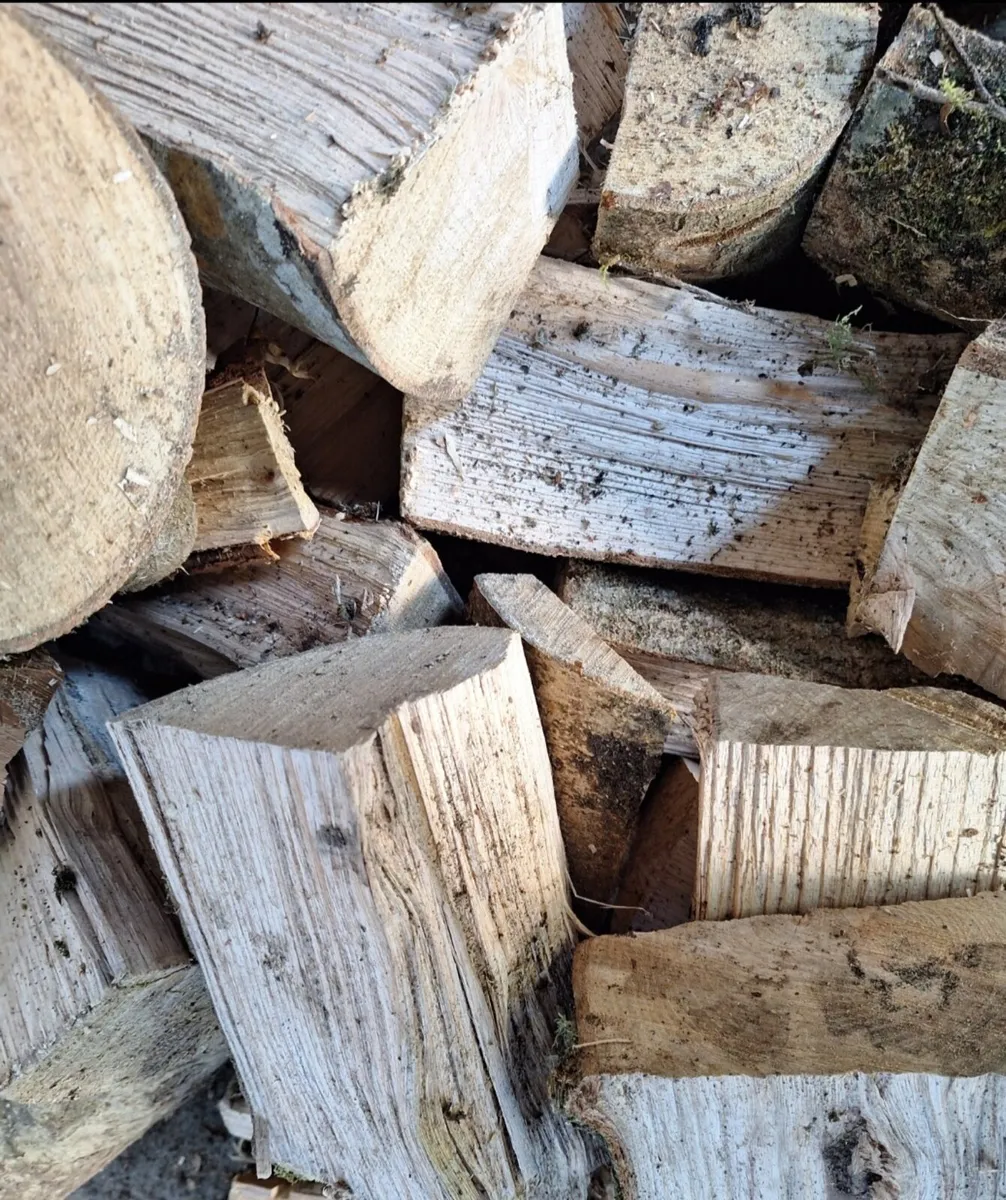 Firewood for Sale - Image 2
