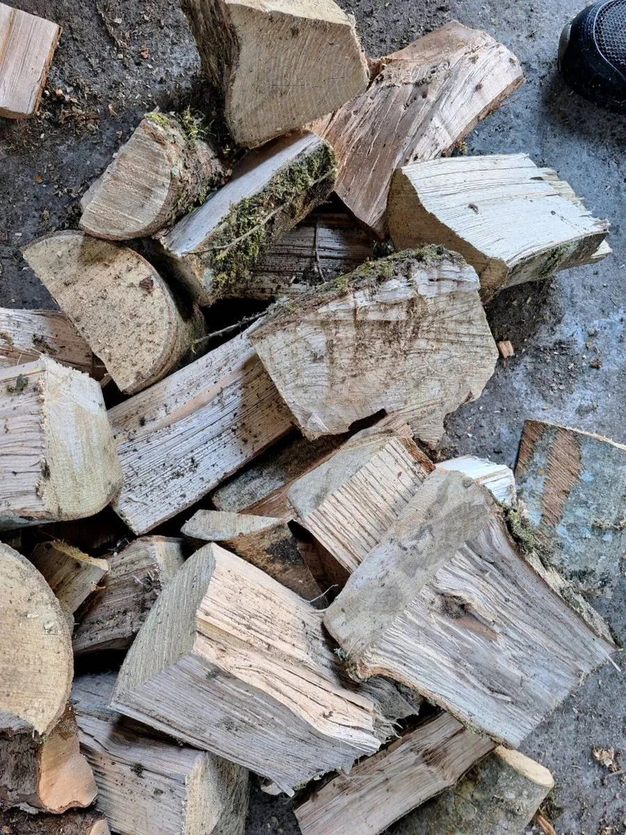 Firewood for Sale - Image 1