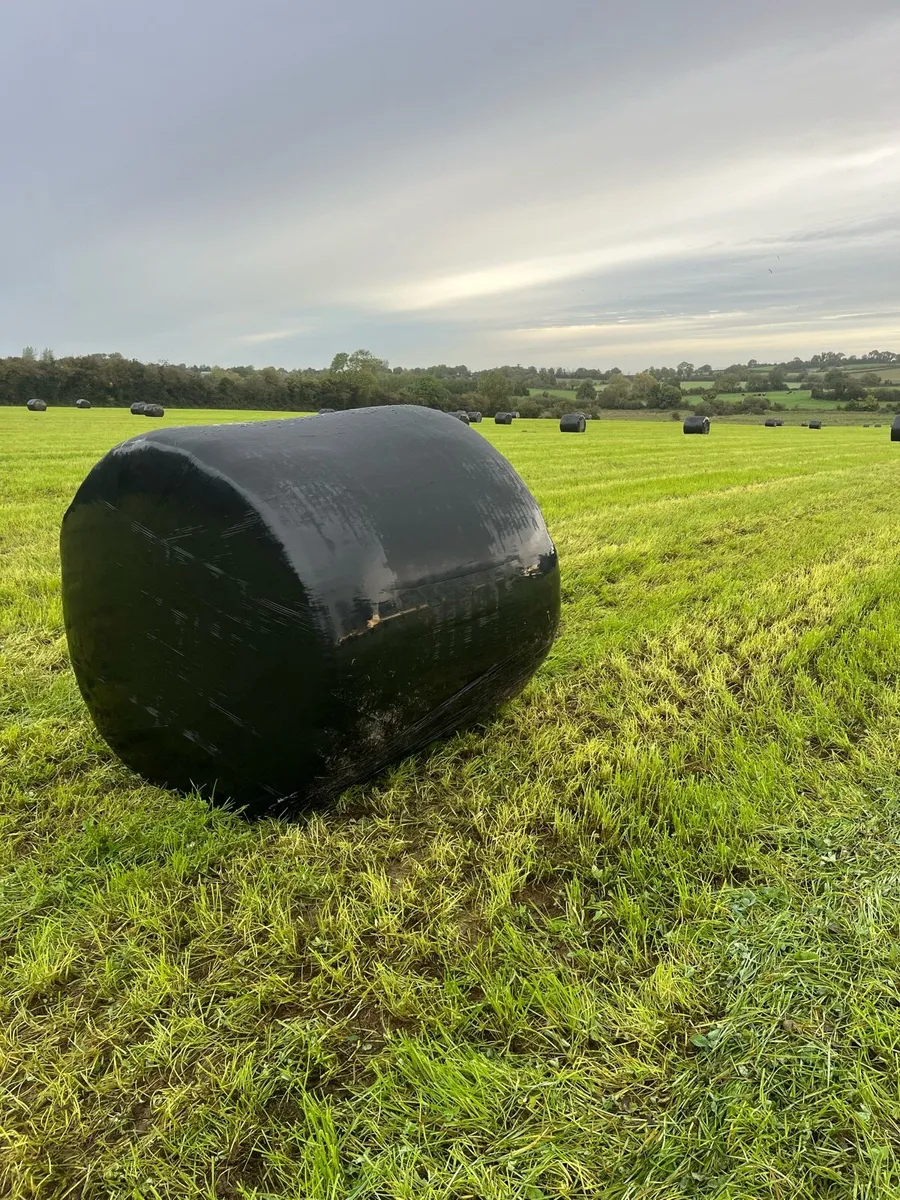 Silage - Image 1