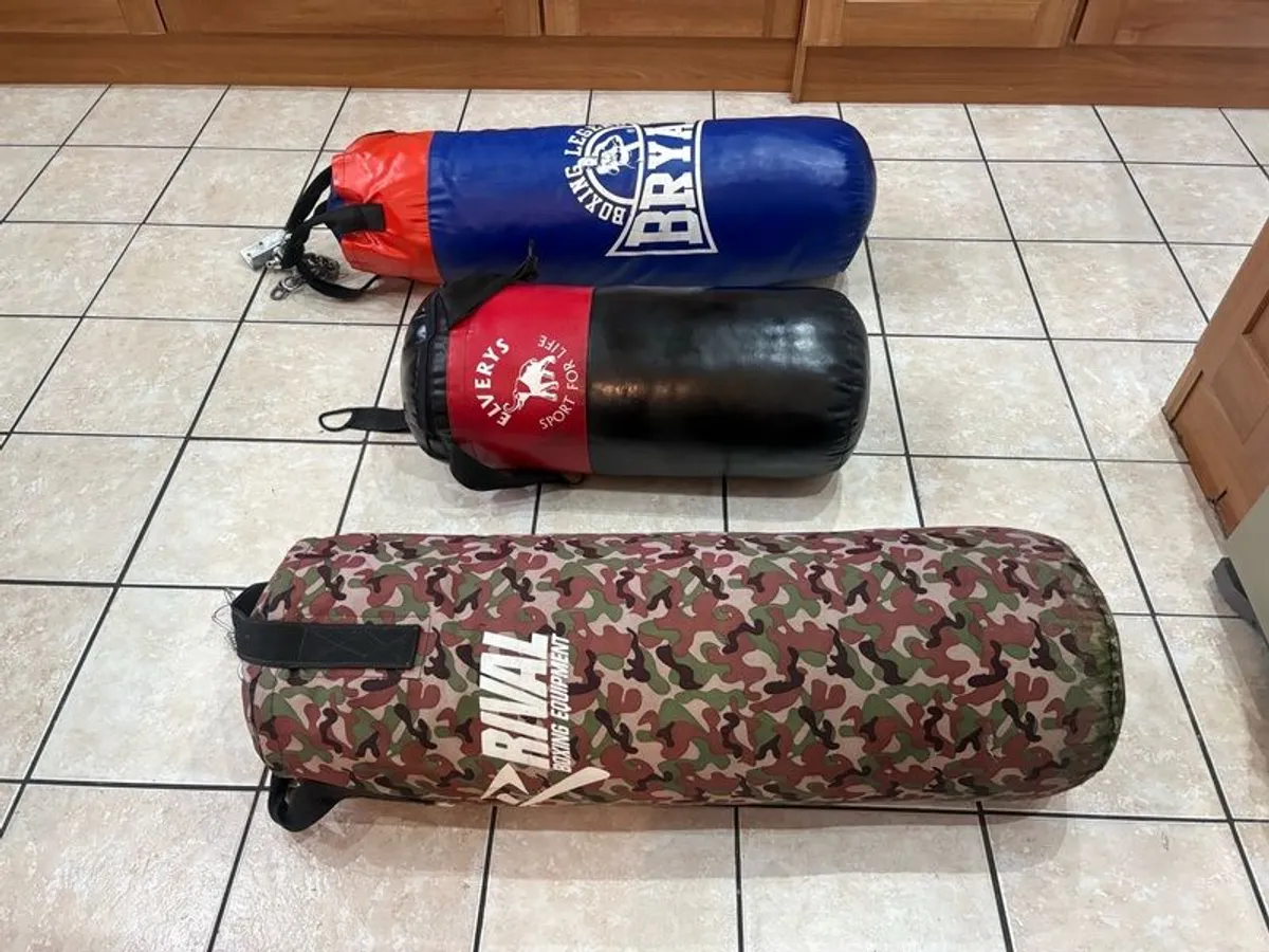 Boxing Bags, All 3 For 100 Euro.