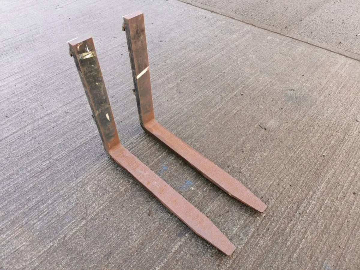 Heavy duty forks - Image 1