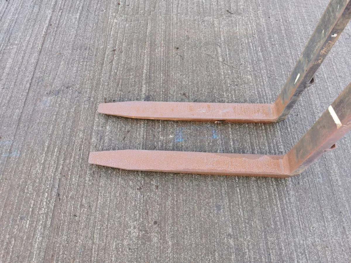 Heavy duty forks - Image 3