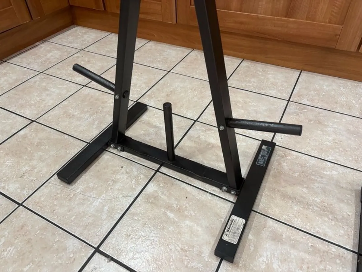 Gym Weight Plate Storage Racks / Trees - Image 4