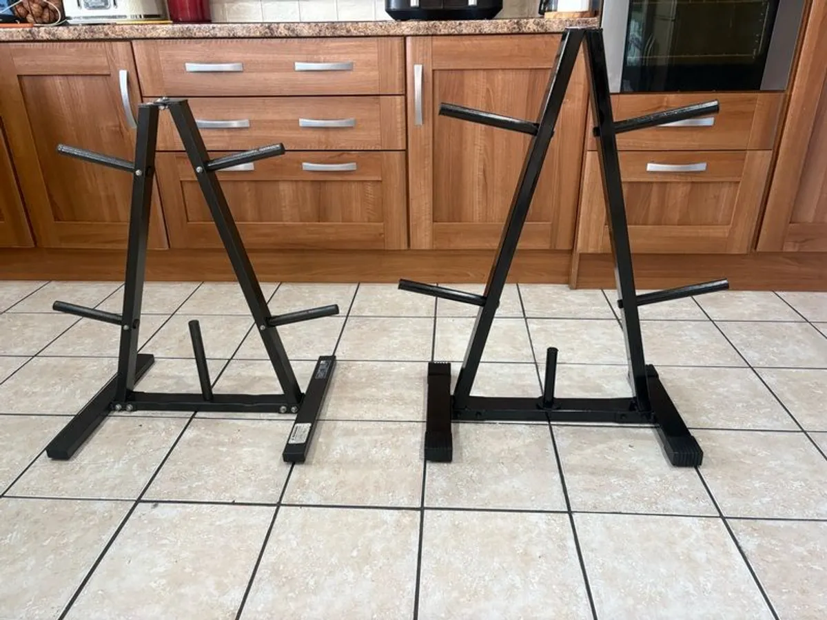 Gym Weight Plate Storage Racks / Trees - Image 1