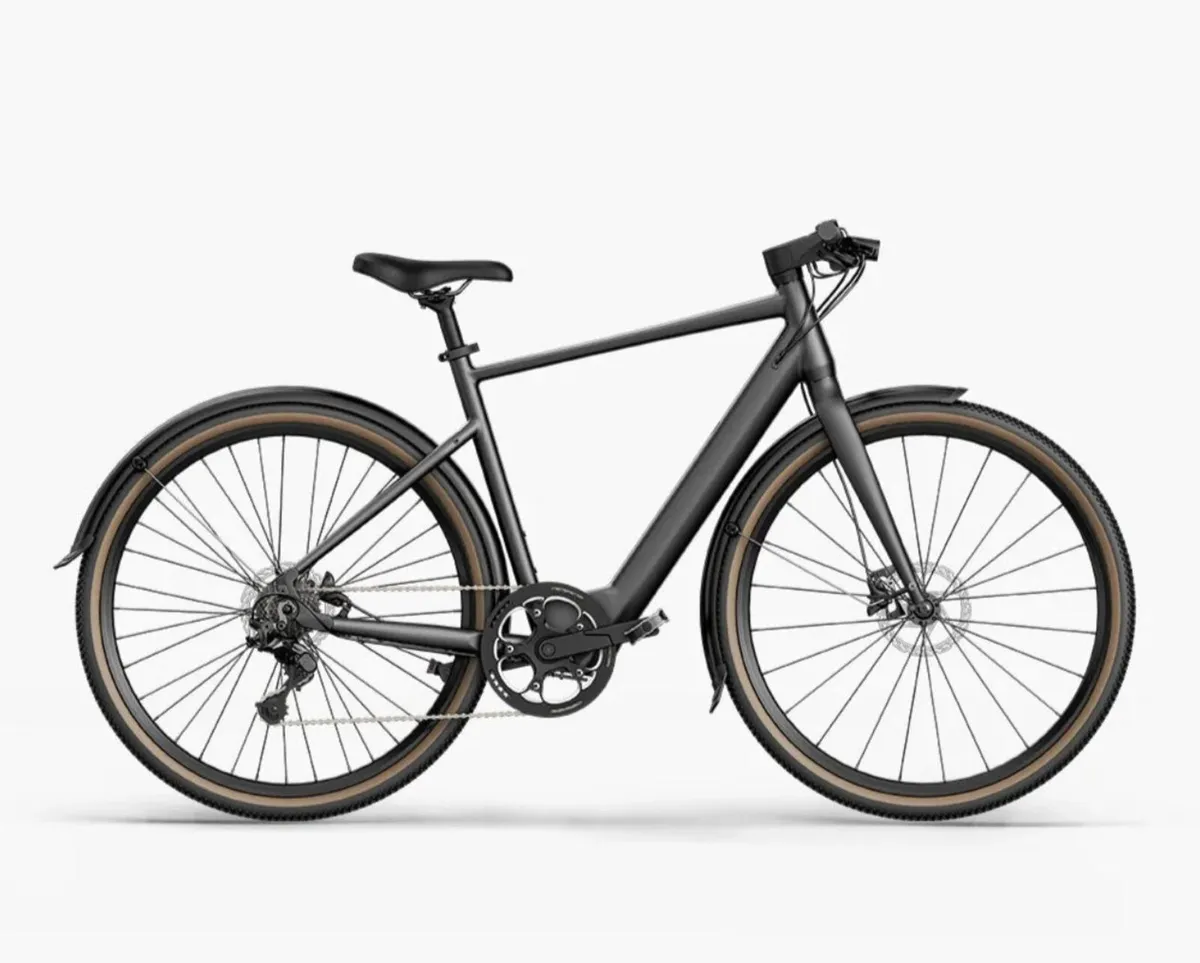 Fiido E-gravel C21 Electric Bike