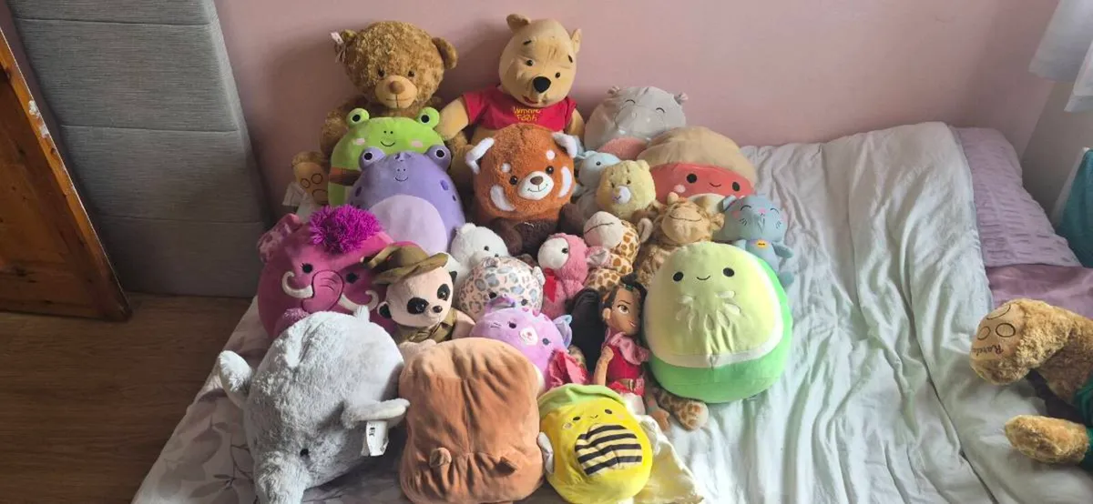 Squishmallow/Teddy Bears