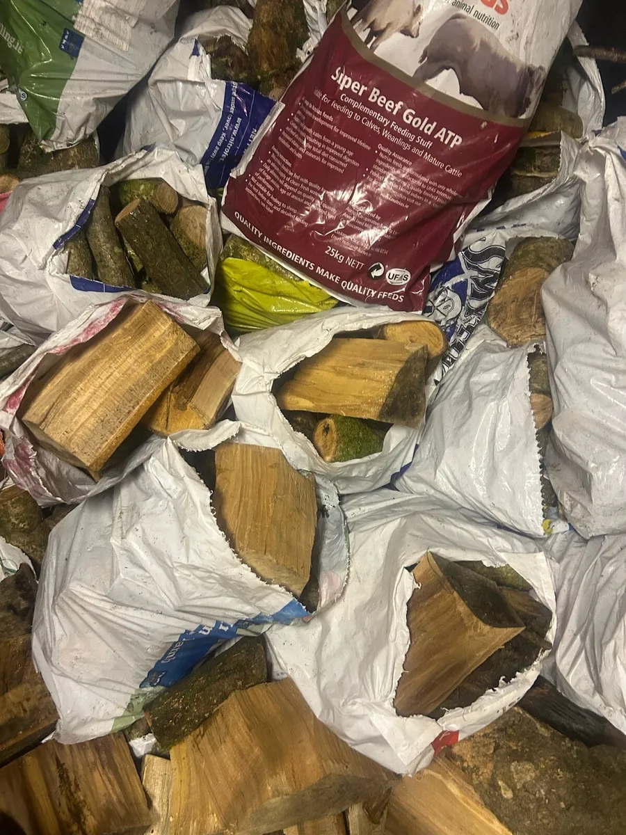 Firewood - Image 1