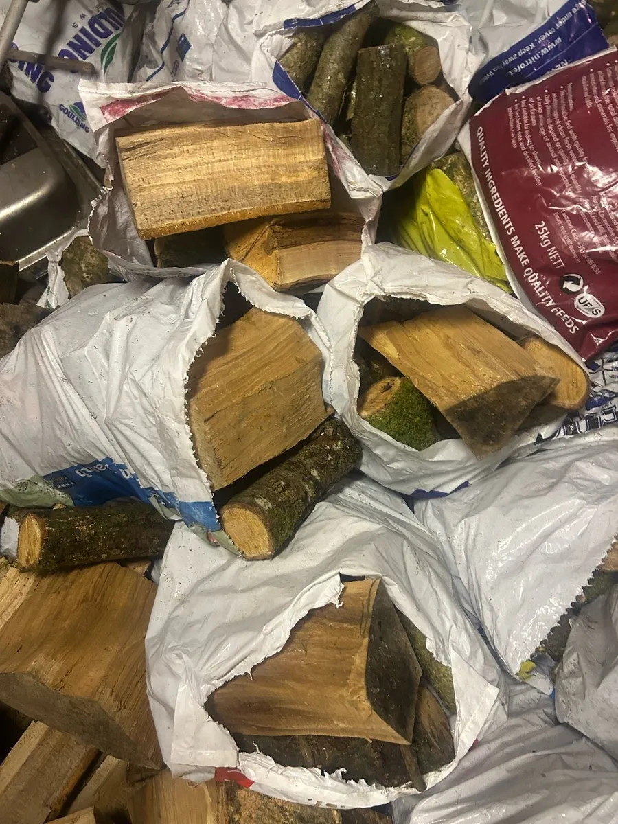 Firewood - Image 2