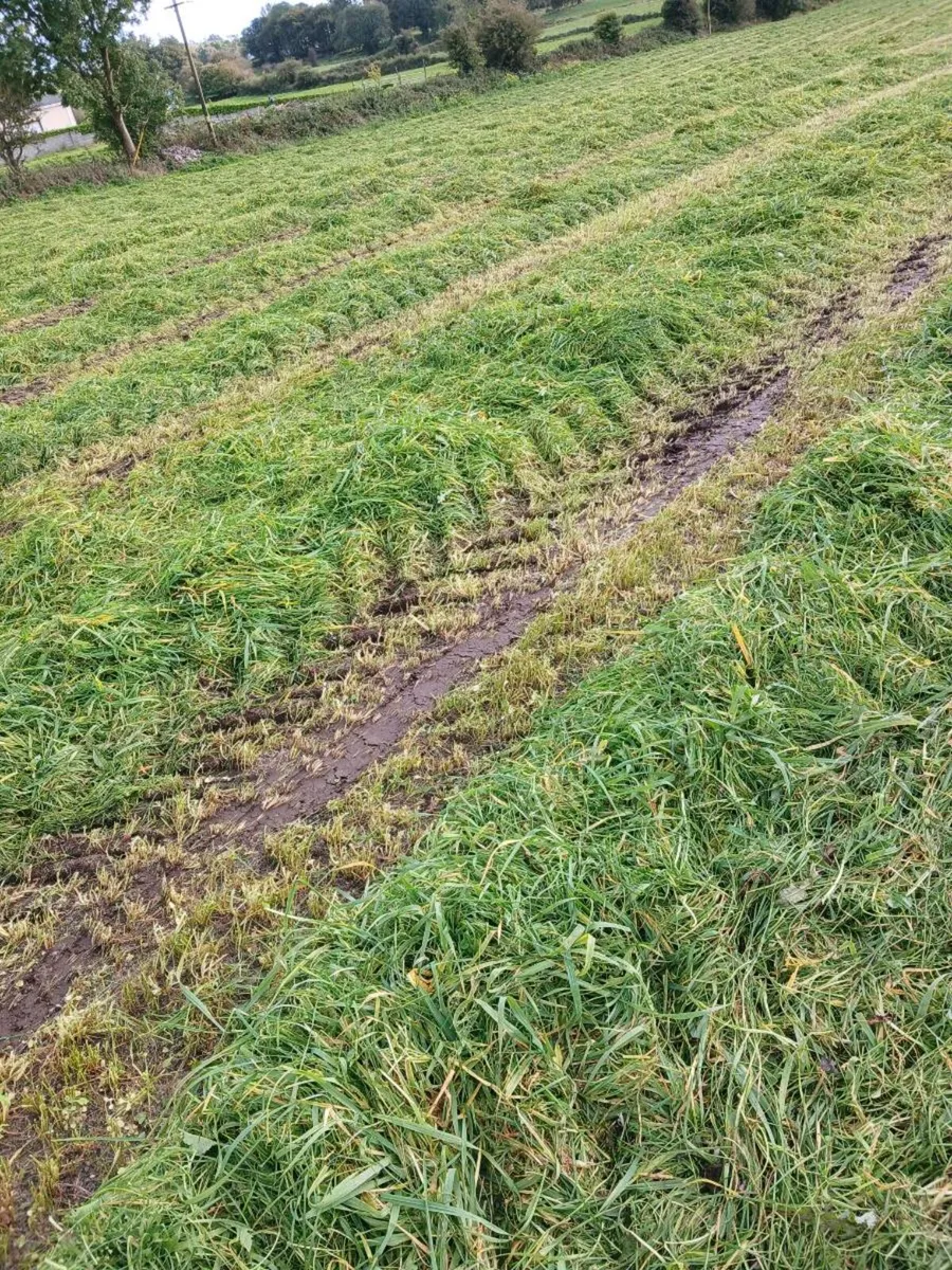 110 Green leafy Crop round bales of Barley/silage - Image 1