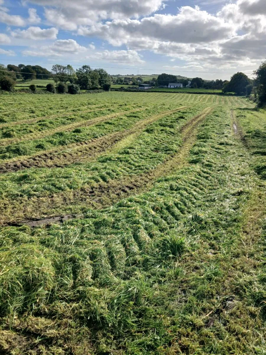 110 Green leafy Crop round bales of Barley/silage - Image 2