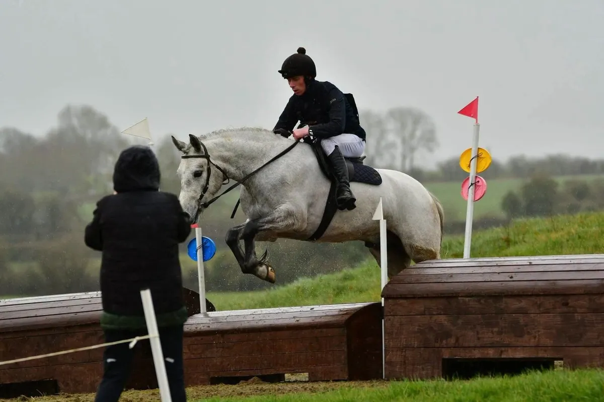 ONE IN A MILLION CONNEMARA GELDING - Image 2
