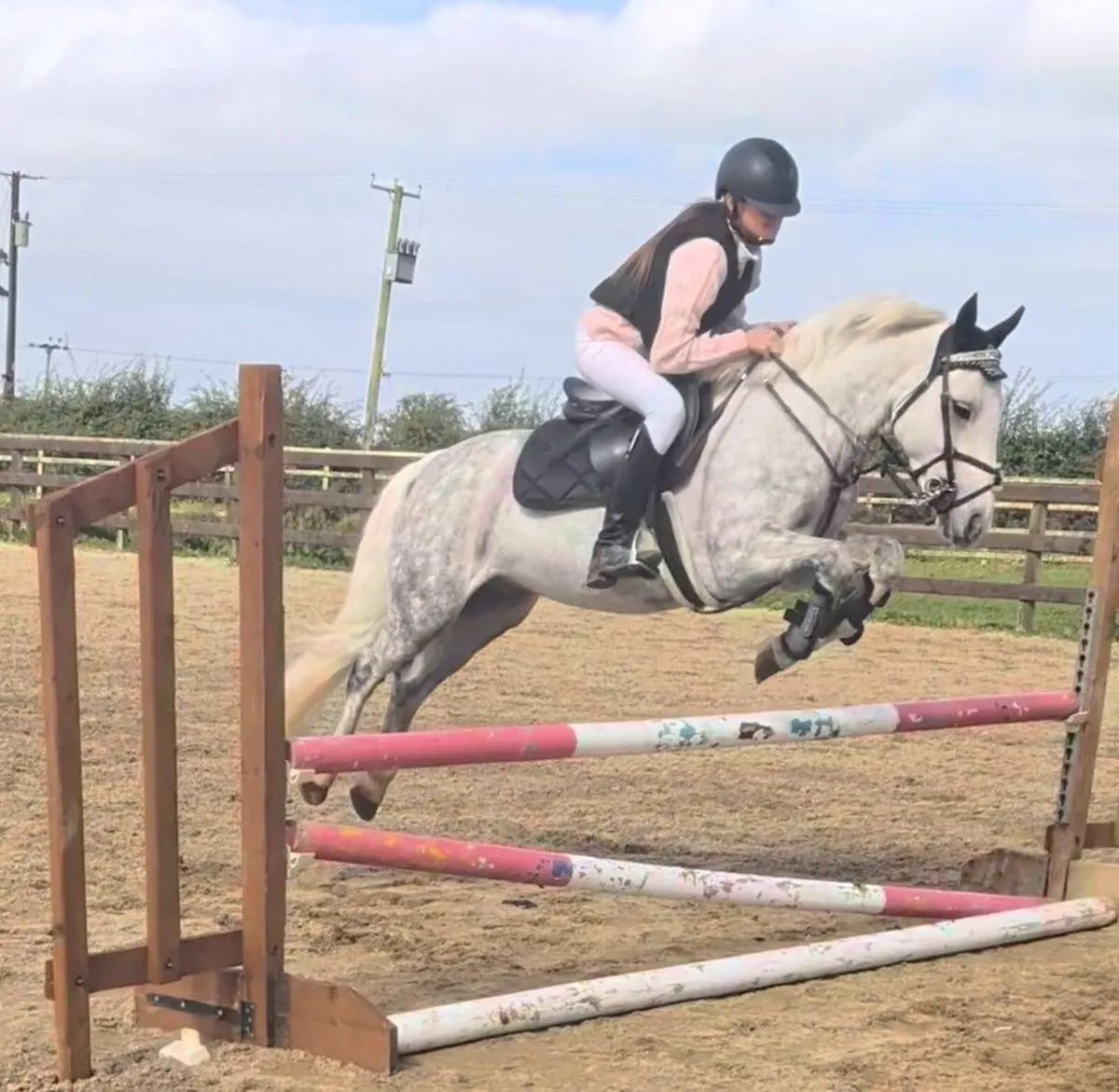 Pony for sale - Image 2