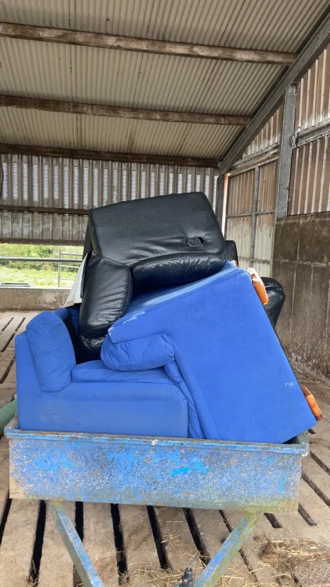Australian Boutique armchair  couches - Image 3