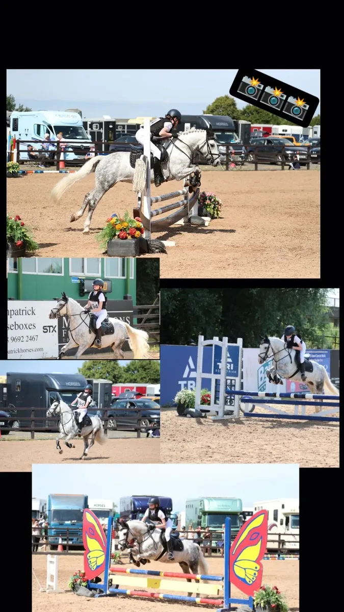 Pony for sale - Image 1