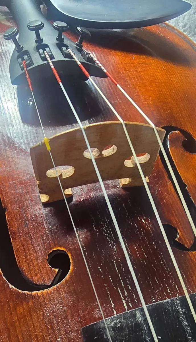 Violin - Image 4