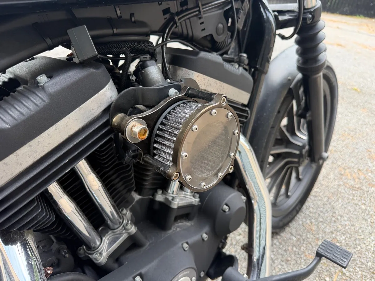 2015 Harley Davidson XL Iron Sportstar 883 - Image 4