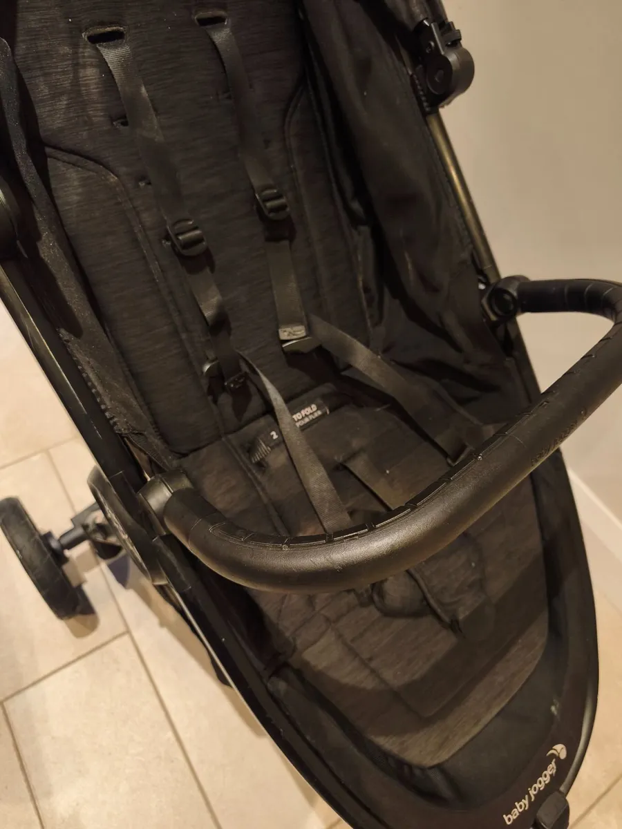 Buggy - Image 4