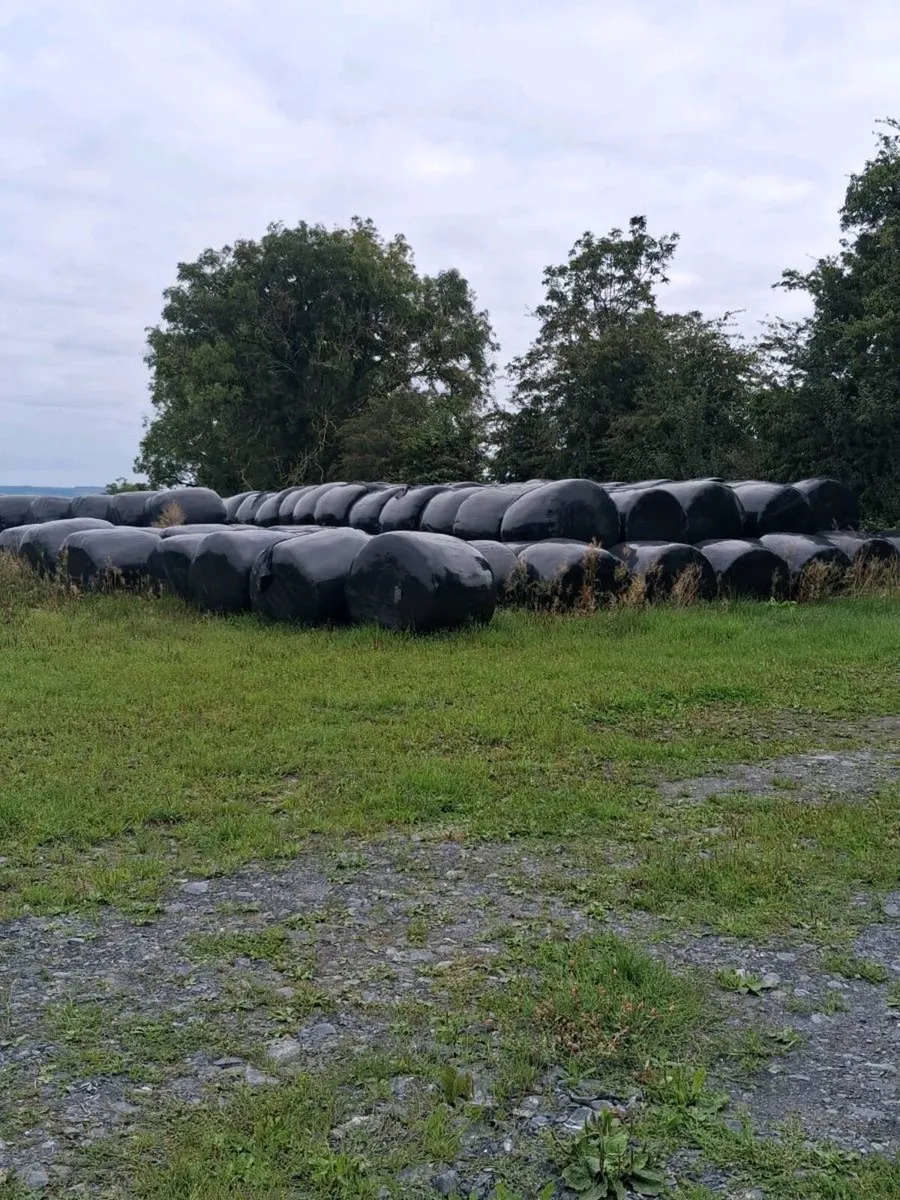Round bales silage - Image 1