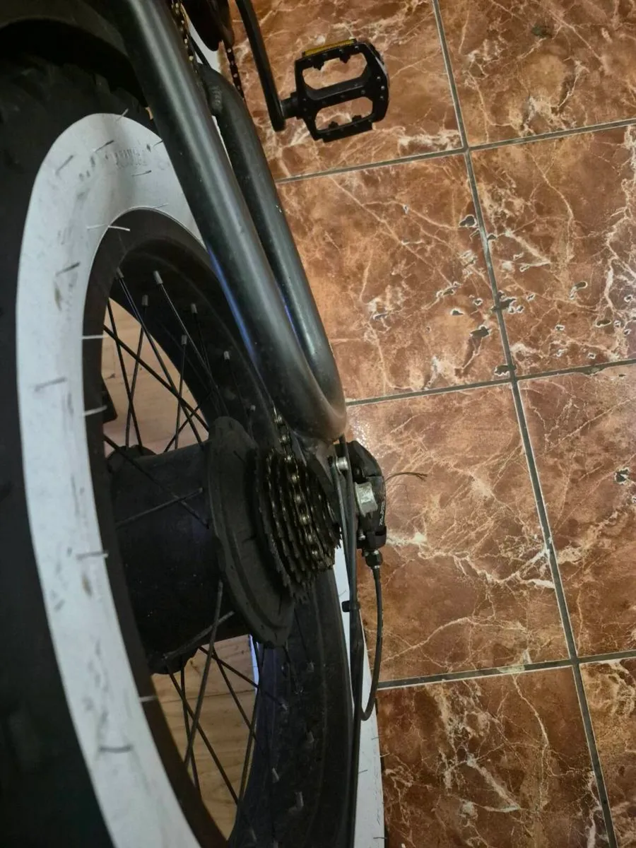 Electric bike ridstar 250w - Image 4