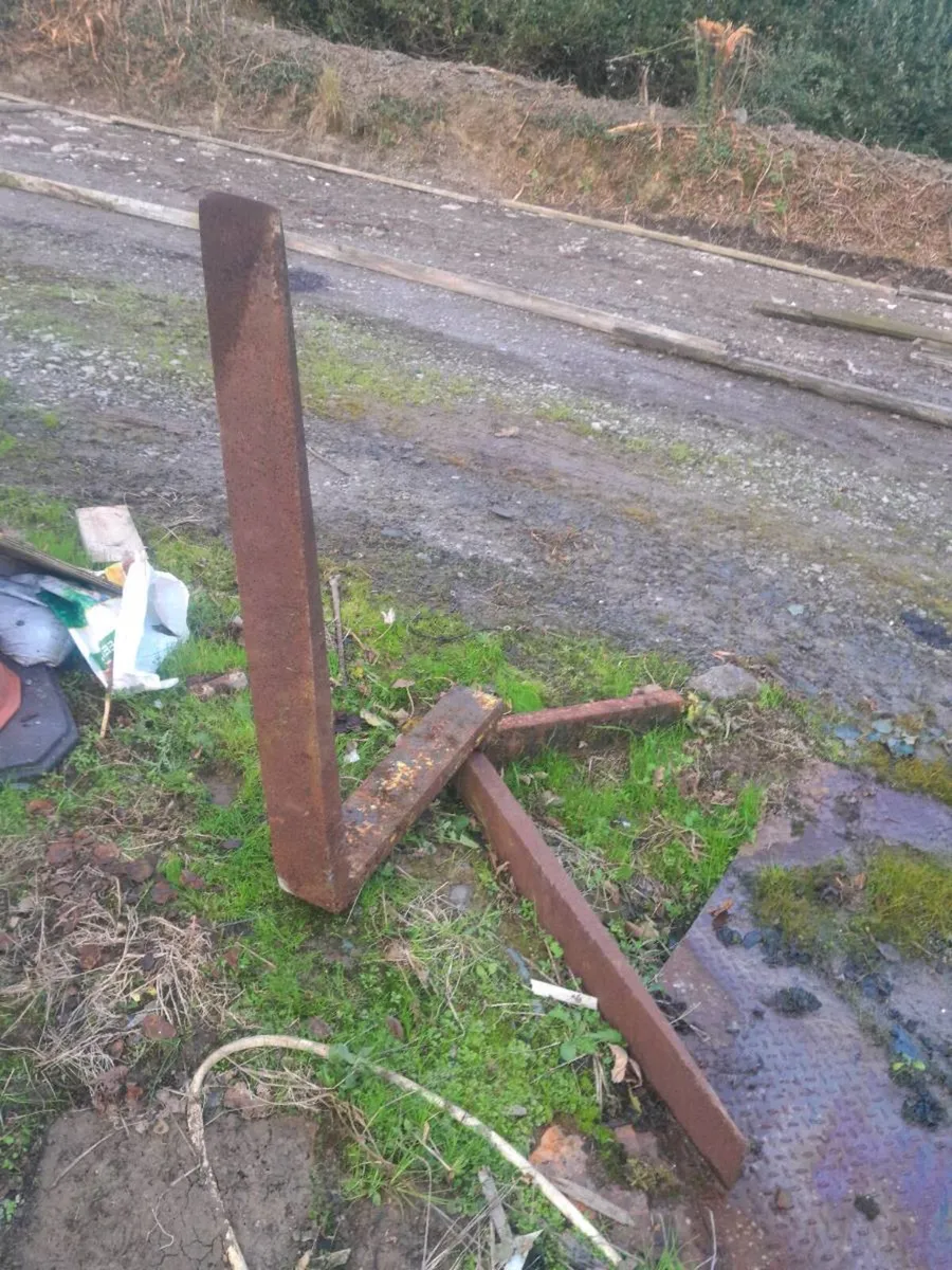 Forklift forks